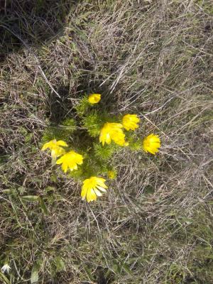 Прикрепленное изображение: IMG_20160403_123603.jpg